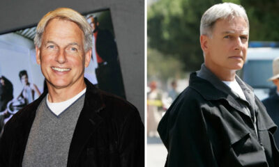 Mark Harmon Net Worth